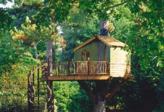 Environmental Considerations when Building a Treehouse