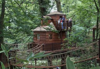 Two-Storey Treehouses and Their Feasibility